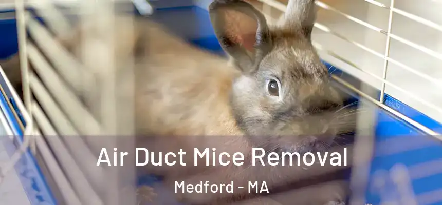  Air Duct Mice Removal Medford - MA