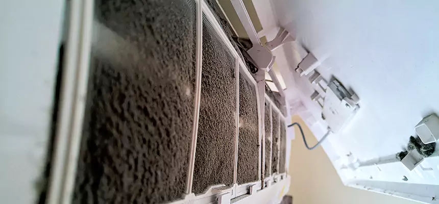 Preventive Air Duct Bacteria Removal in Medford