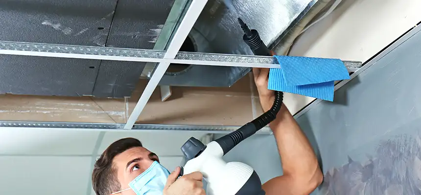 Our Air Duct Rodent Removal Services in Medford, MA