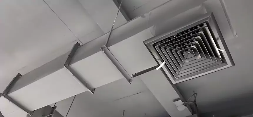 Our Pest Removal From Ducts Services in Medford, MA