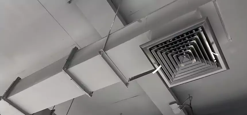 Our Rodent Droppings In Vents Services in Medford, MA