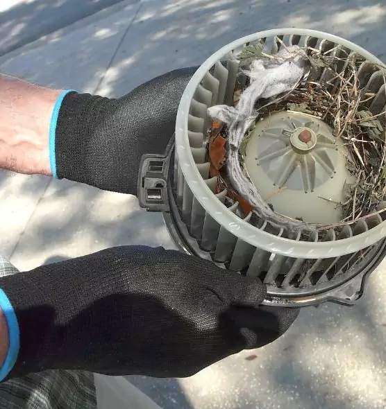 About Air Duct Mice Removal in Medford, MA