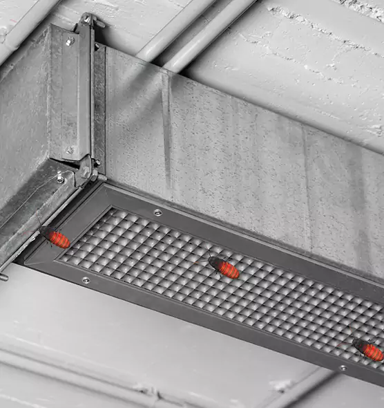 Affordable Insect Removal from Air Ducts in Medford, MA