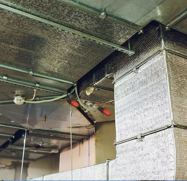 Why Homeowners & Businesses Trust Us in Medford, MA?