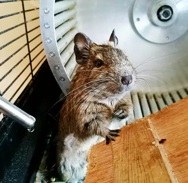 Why Homeowners & Businesses Trust Us Medford, MA